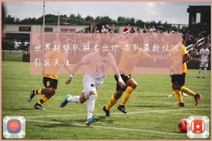 世界杯球队排名出炉 各队最新位次引发关注