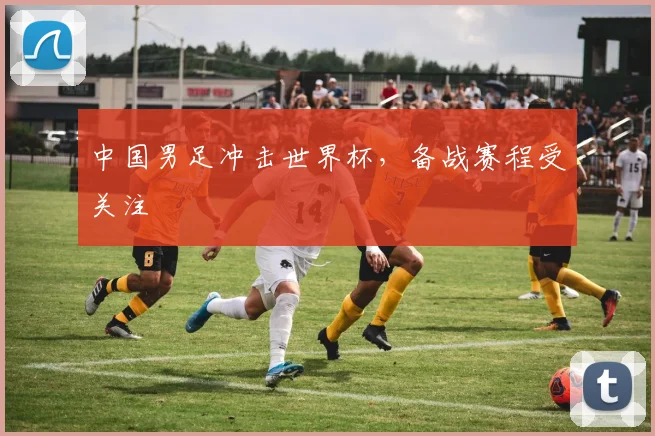 中国男足冲击世界杯，备战赛程受关注